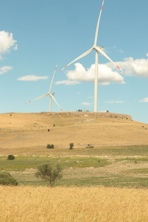 Free Landscape view of wind turbines in a golden field under a clear sky. Stock Photo