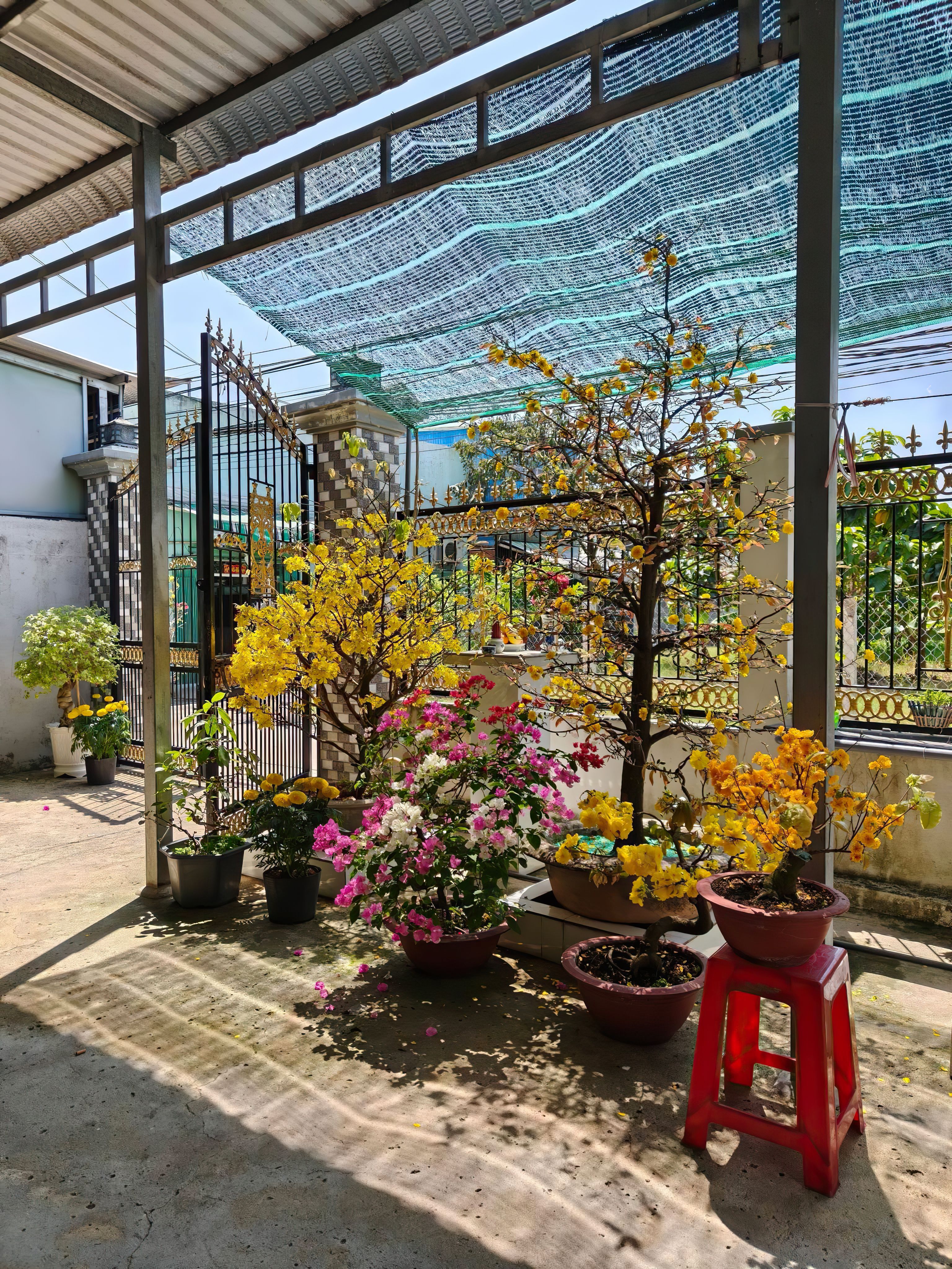 Hoa Sinh Nhật Vũng Tàu Đẹp amp; Sang Trọng - Giá Rẻ