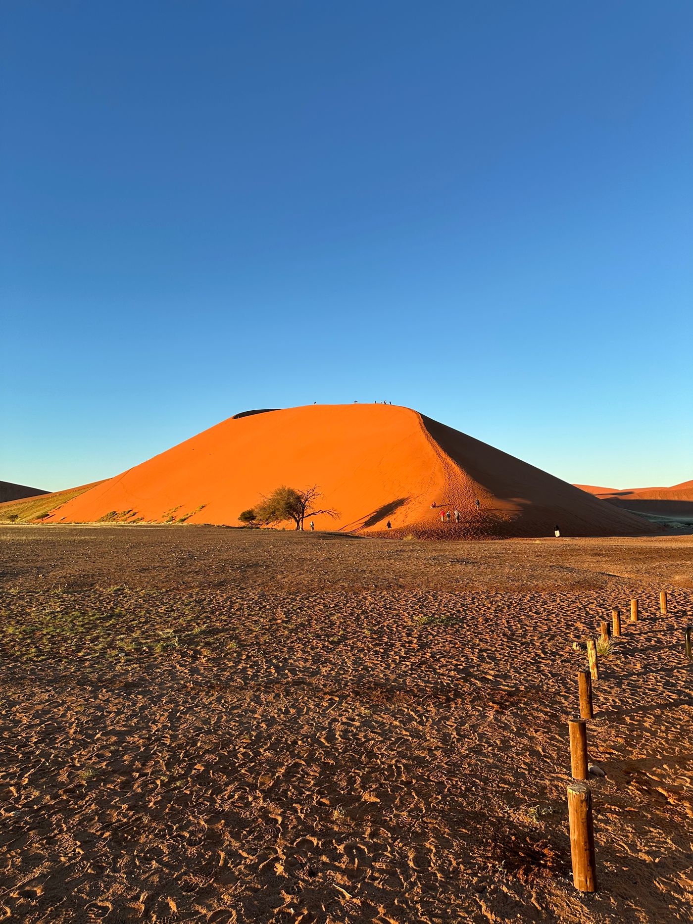 The towering red sand dunes of Sossusvlei at sunrise in the Namib Desert, Namibia