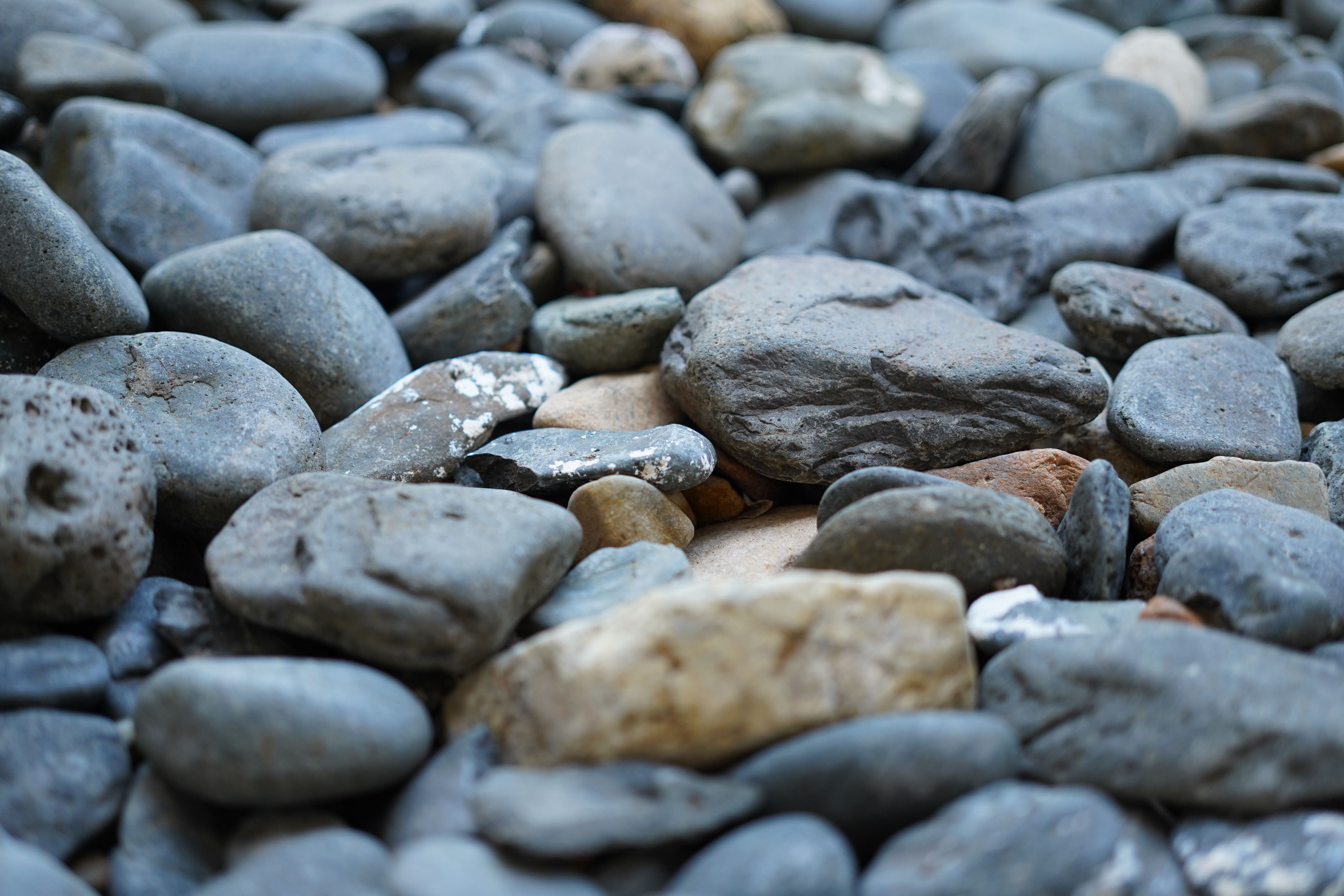 Close-up of washed river stones in a natural setting.