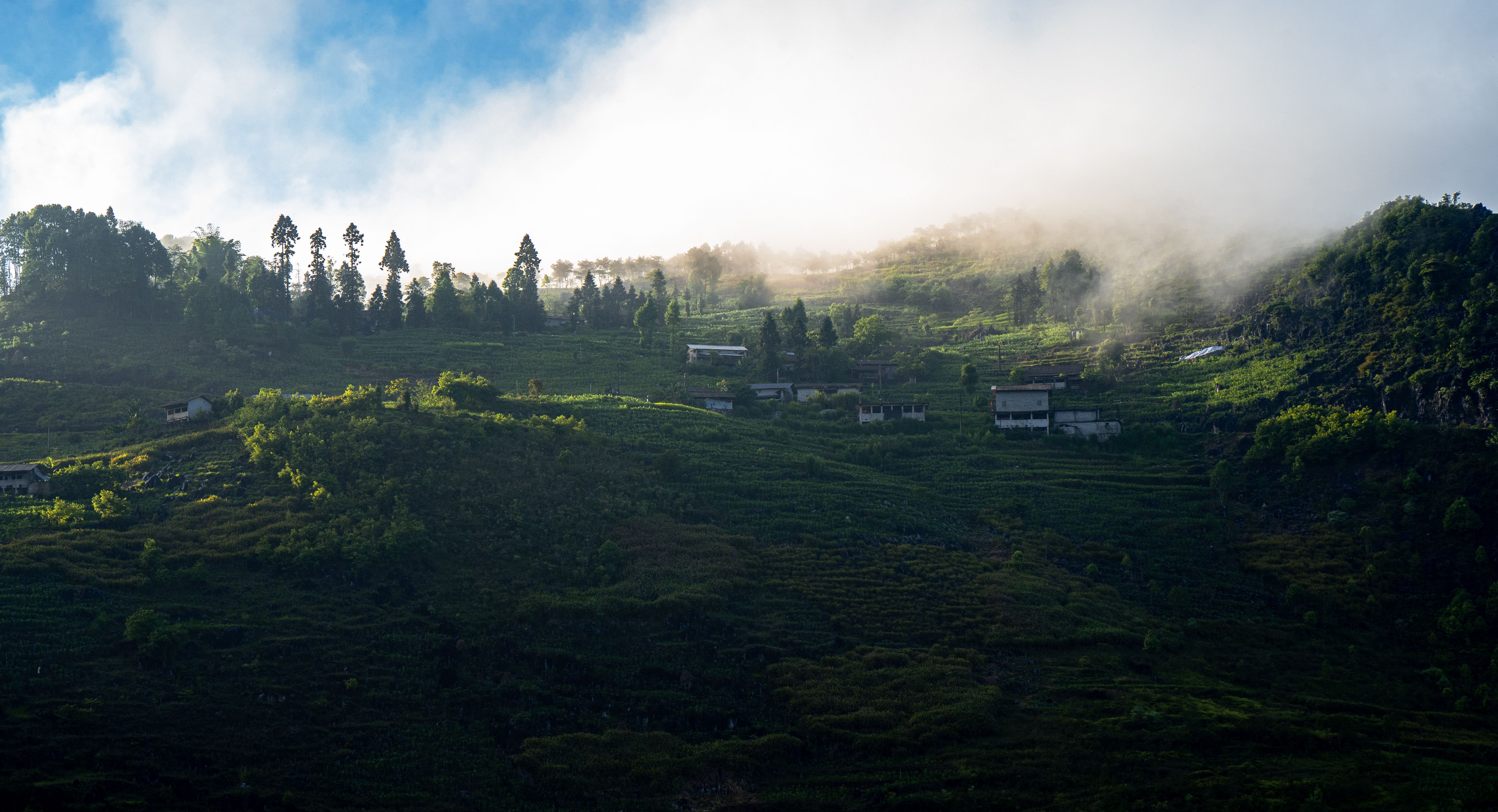 Misty morning view of Dong Van hills in Vietnam with lush greenery and scattered houses under a clear sky.