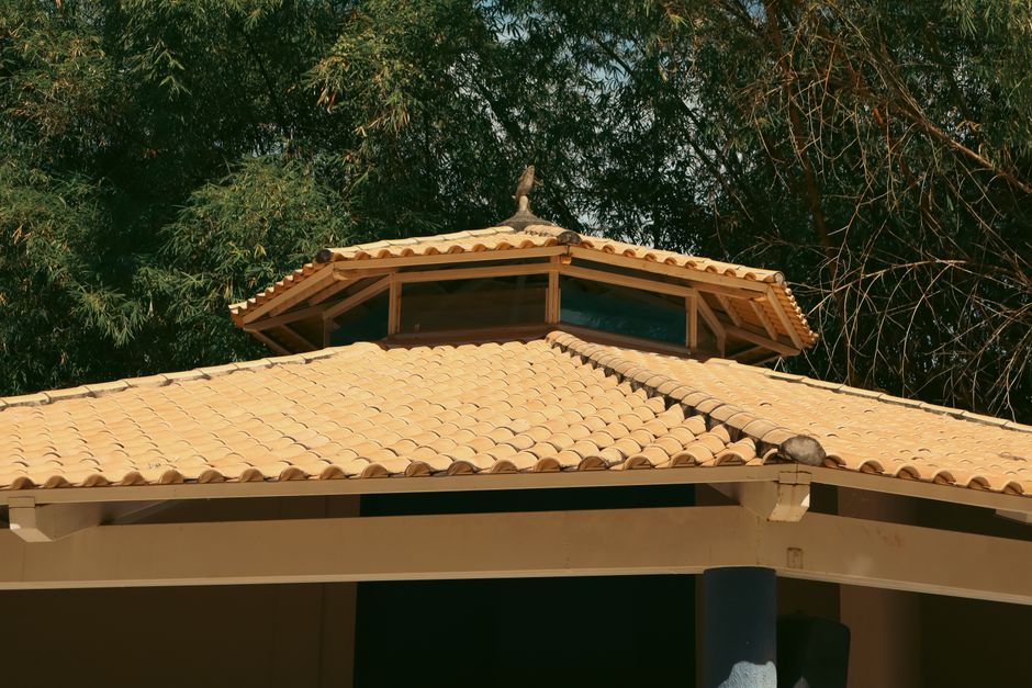 Close-up of a wooden gazebo roof with a bird perched, surrounded by lush vegetation in Goiás, Brazil.