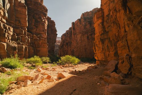 Free Explore the breathtaking beauty of an Arizona desert canyon bathed in warm sunlight. Stock Photo