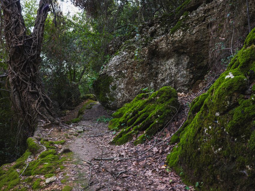 A worn trail cutting between moss-covered rock &mdash; photo by Engin Akyurt on Pexels