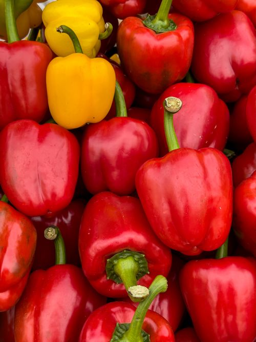 Free Close-up of fresh red and yellow bell peppers, showcasing their vivid colors and organic freshness. Stock Photo