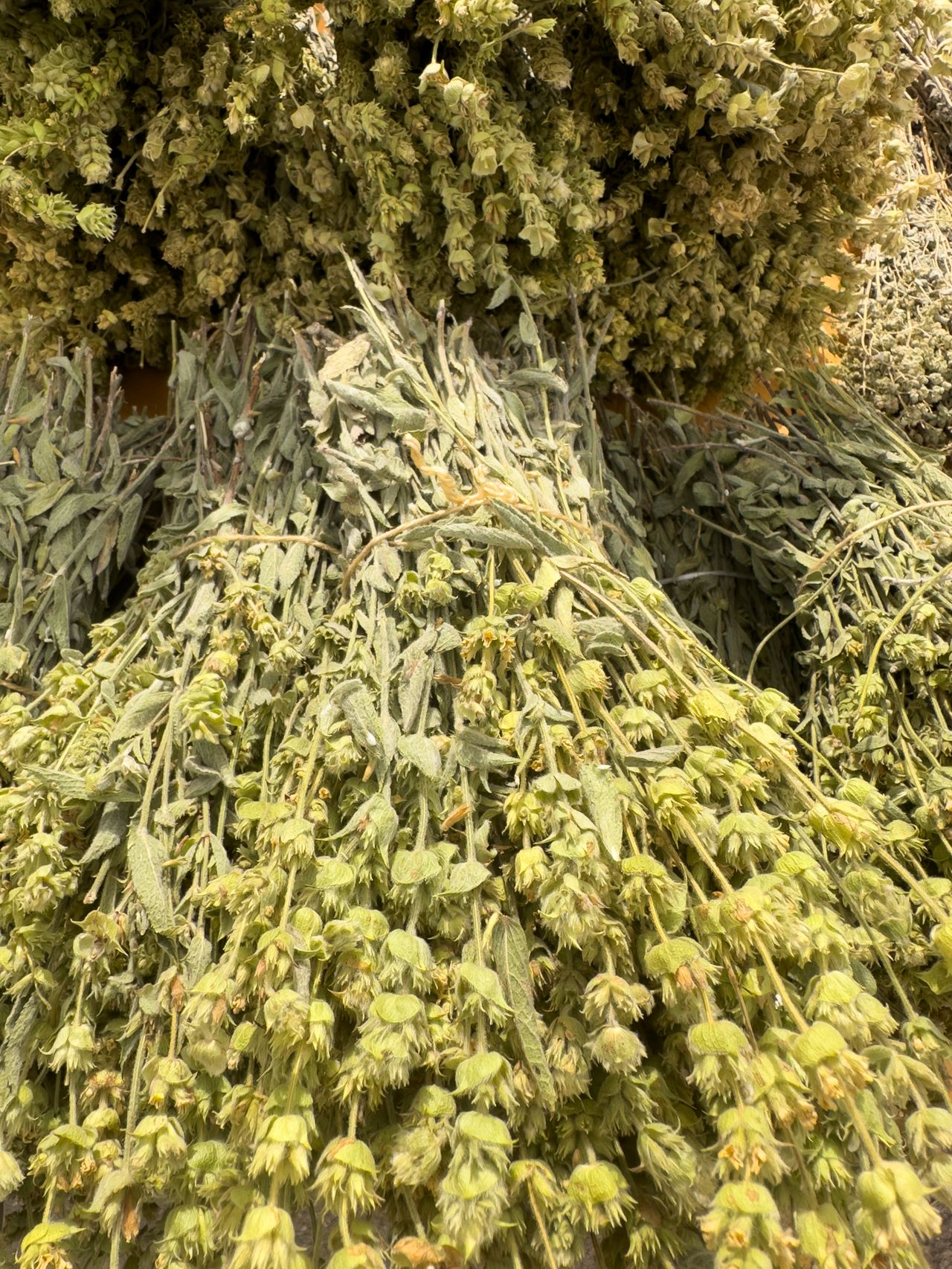 Cretan mountain herbs