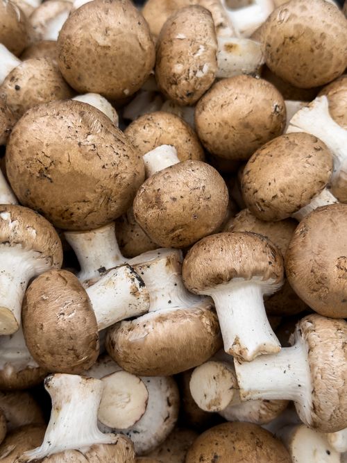 Free Close-up of fresh organic Cremini mushrooms ideal for cooking and healthy meals. Stock Photo
