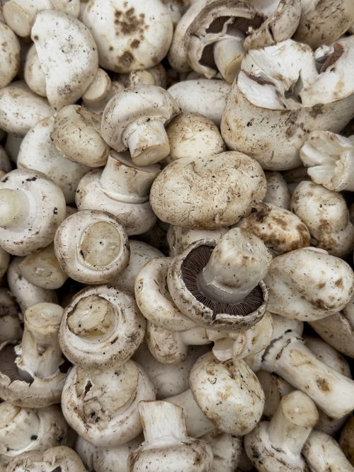 Free A close-up of fresh organic mushrooms displayed at a local market, ideal for culinary use. Stock Photo
