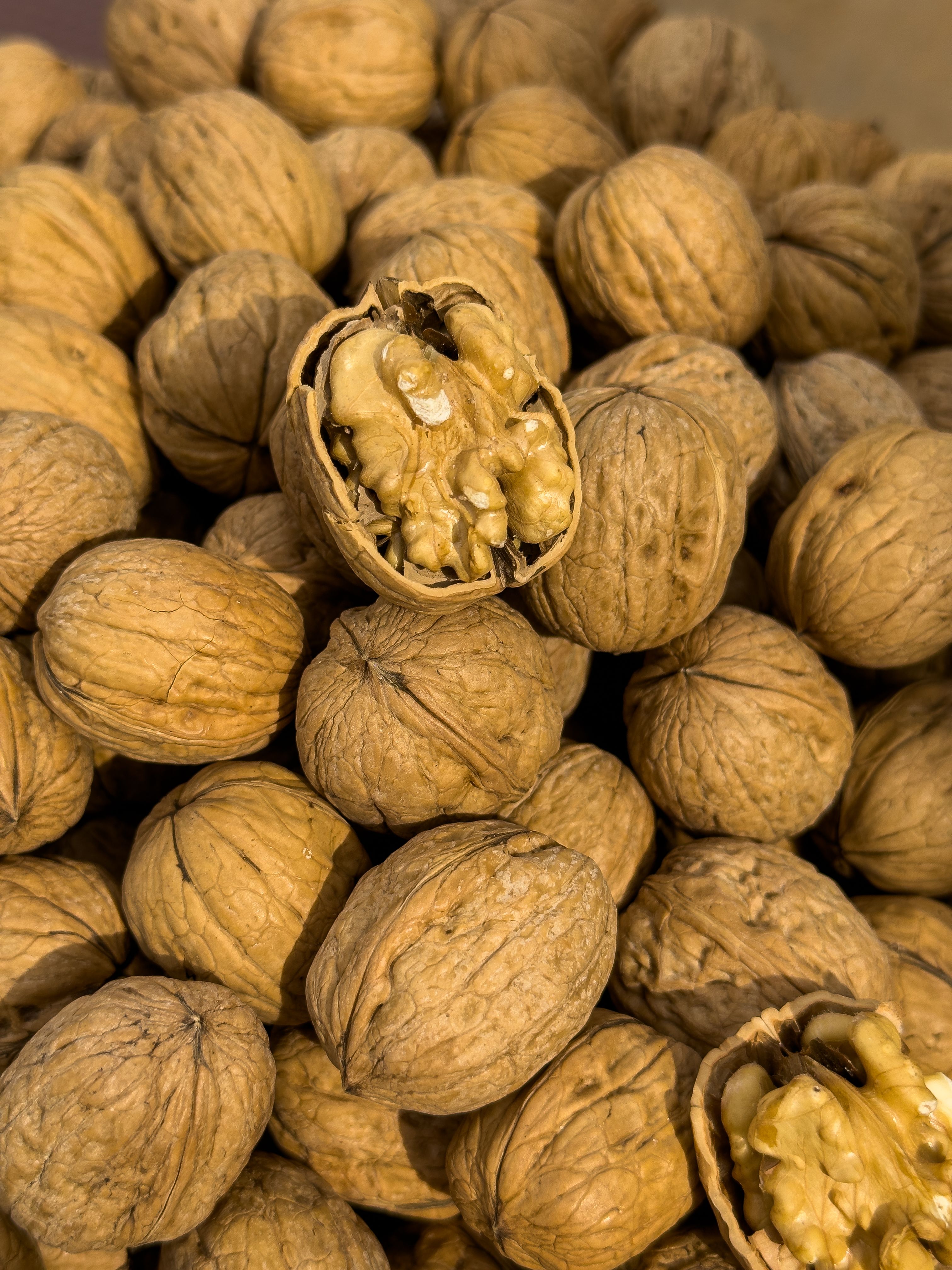 A close-up of organic walnuts in their shell, perfect for a healthy and protein-rich snack. - Dry Fruits in Traditional Medicine