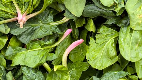 Top view of vibrant organic spinach leaves, showcasing freshness and healthy eating.