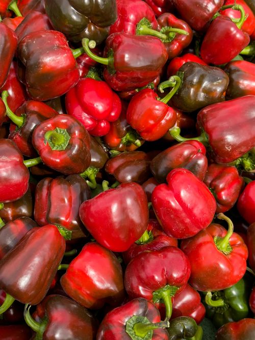 Free Vibrant red bell peppers displayed at a local market, perfect for healthy cooking. Stock Photo