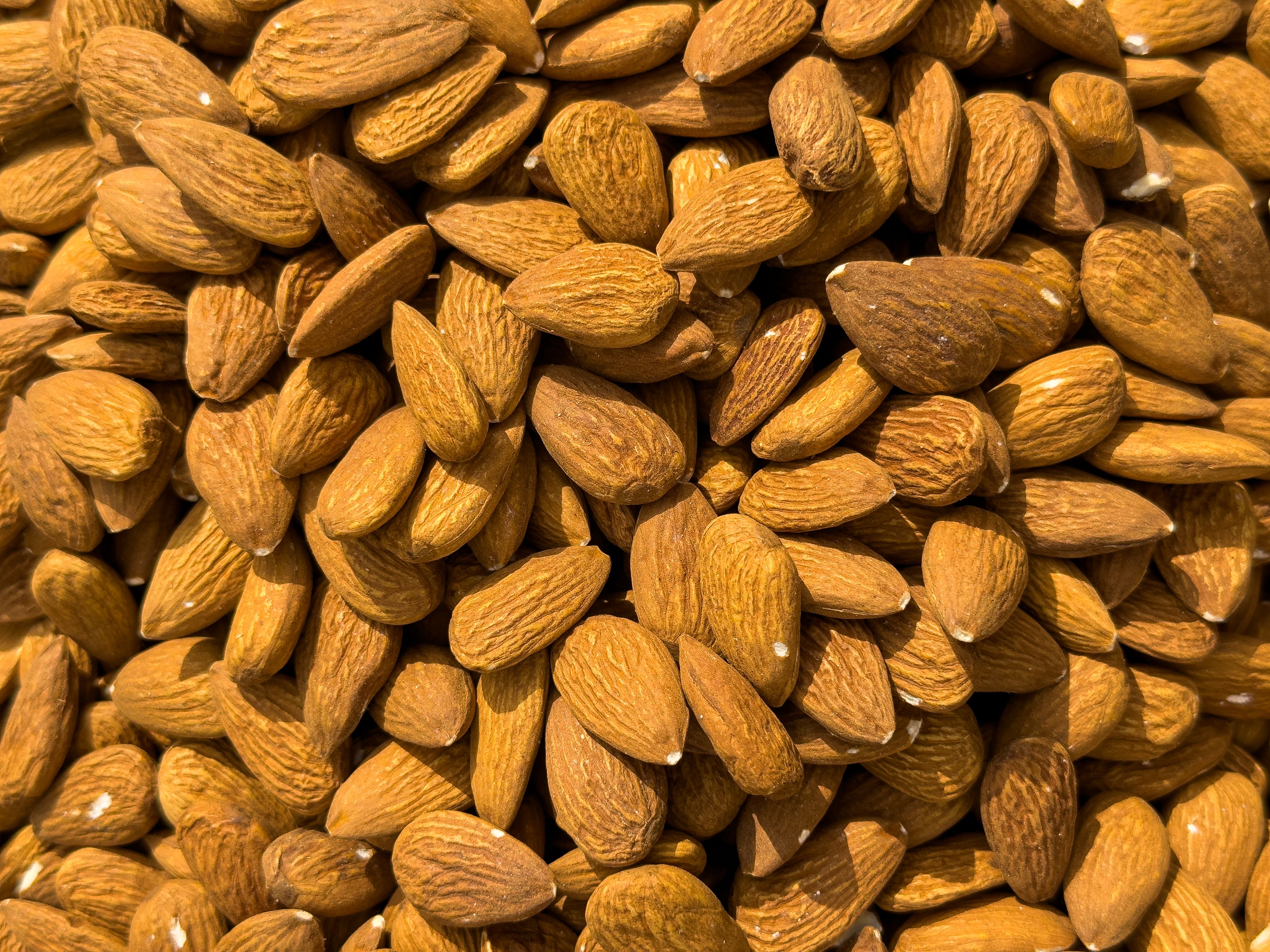 Magnesium
