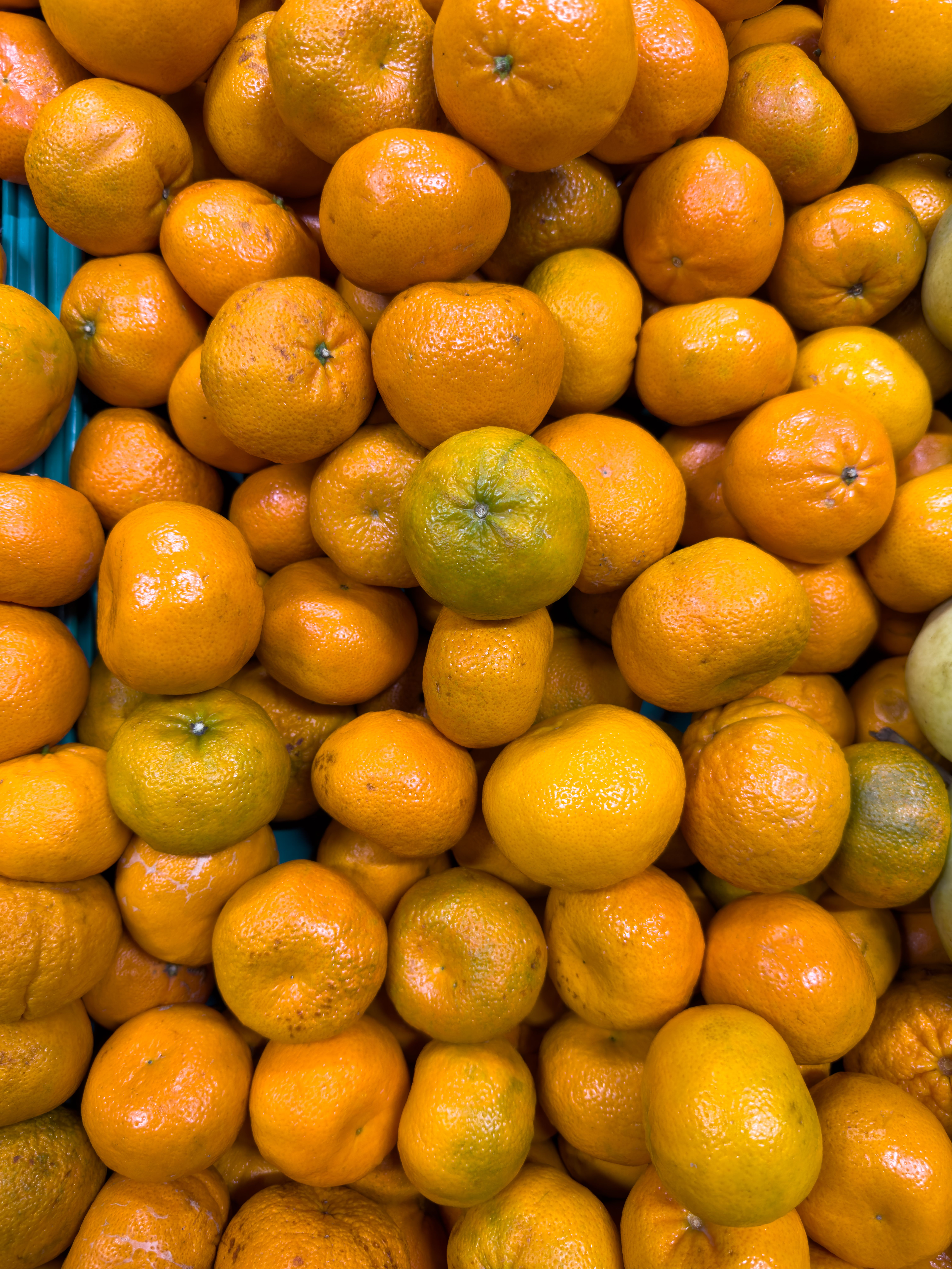 Fotomural Una exhibición vibrante de mandarinas orgánicas frescas apiladas en un mercado local, mostrando su color y textura naturales.