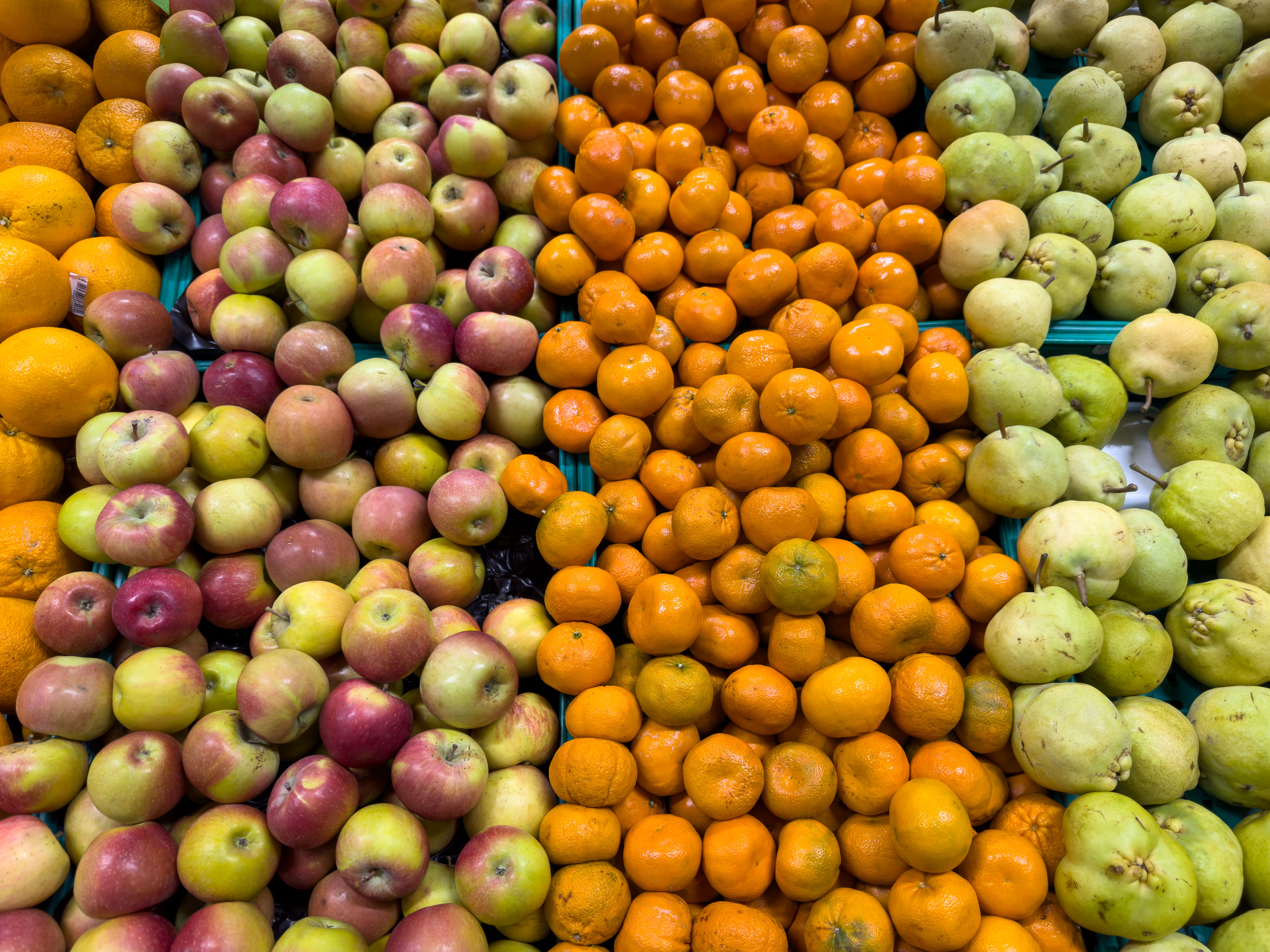 Sustained Grocery Price Increases Continue to Weigh on Household Budgets