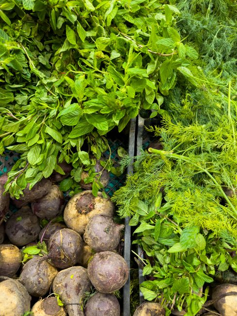 Hortifruti
