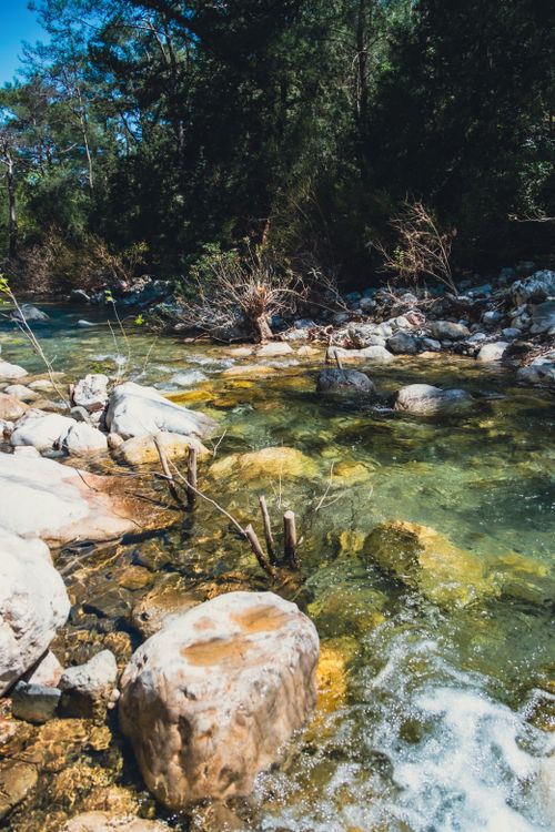 Free Crystal clear river stream flowing over rocks in a forested landscape, showcasing natural beauty and tranquility. Stock Photo