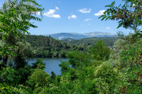 Free A breathtaking landscape showcasing a lush green forest surrounding a tranquil lake under a clear blue sky. Stock Photo