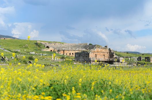 Explore the ancient ruins of Hierapolis in Denizli, Türkiye, surrounded by vibrant spring flowers.