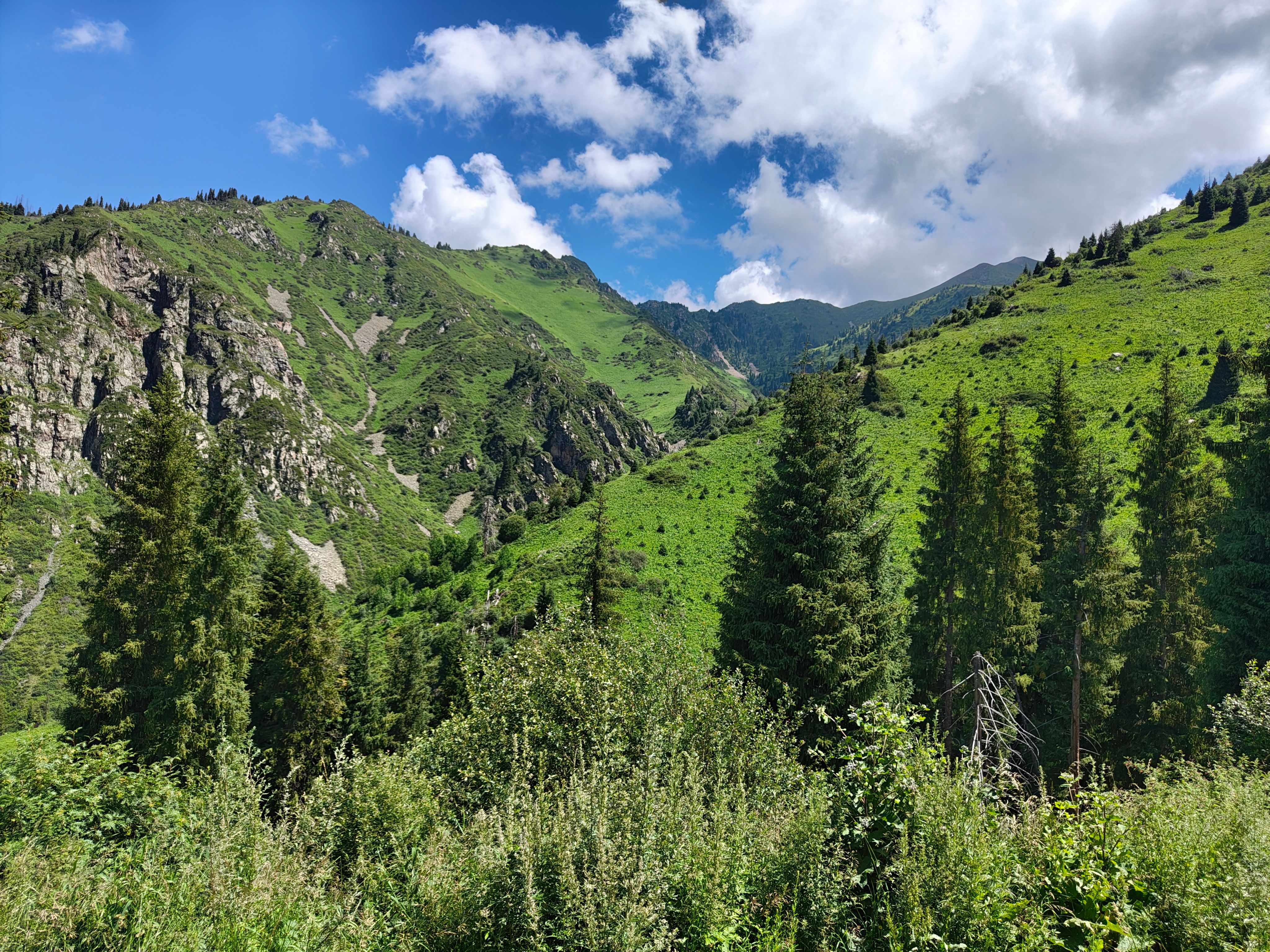 Breathtaking view of lush green mountains and clear blue skies in Almaty, Kazakhstan.