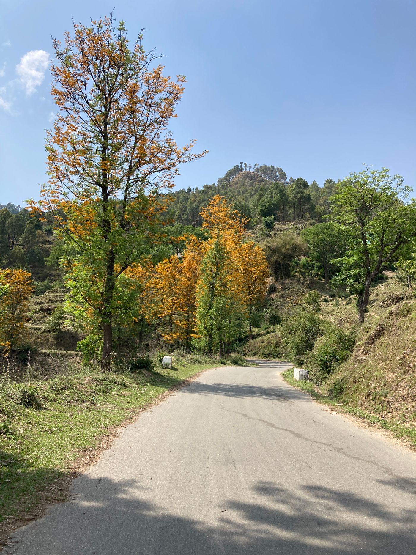 Gwaldam — Uttarakhand travel photograph 2