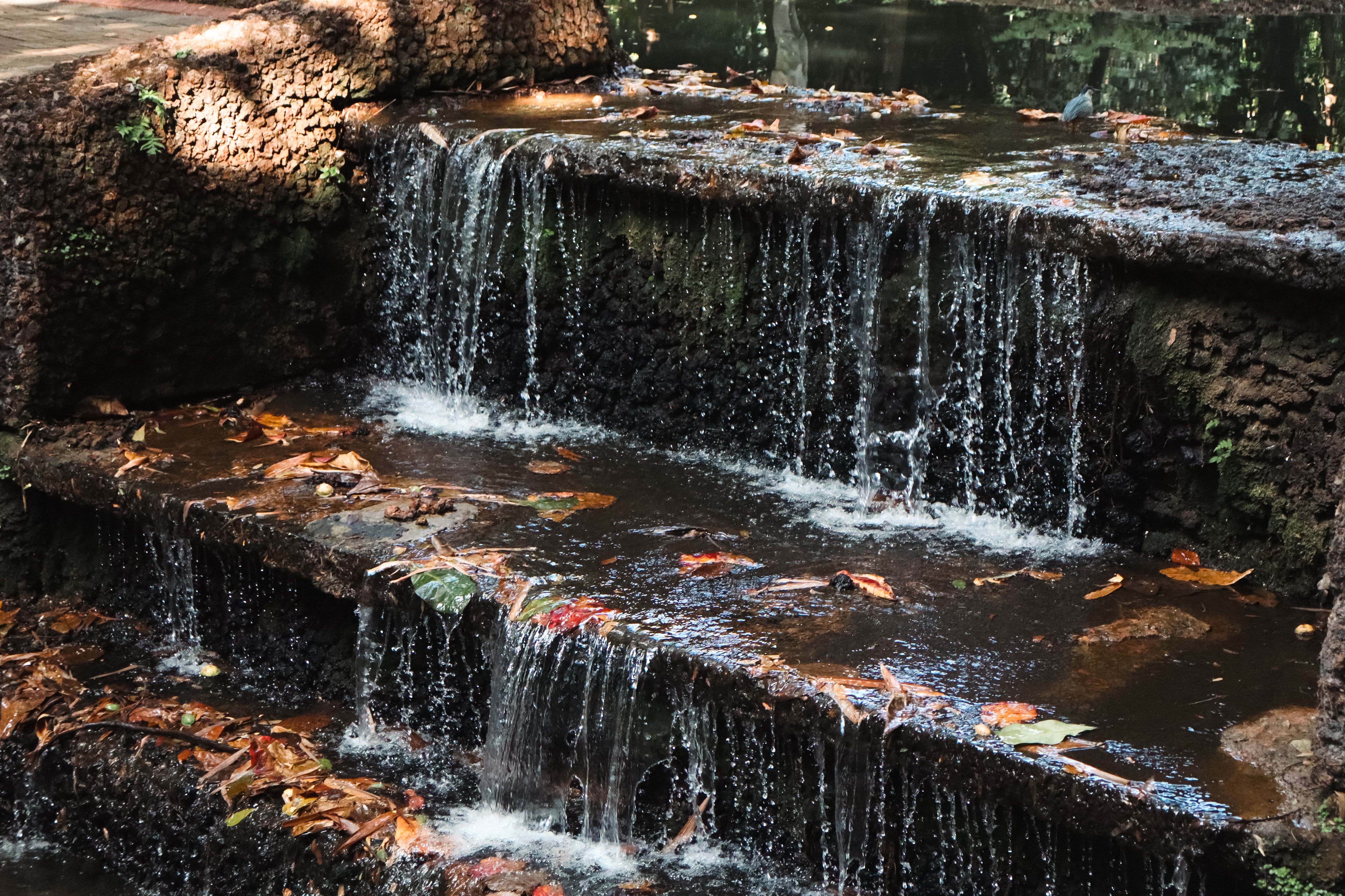 Small cascading waterfall over rocky steps surrounded by fallen leaves in a Brazilian park.
