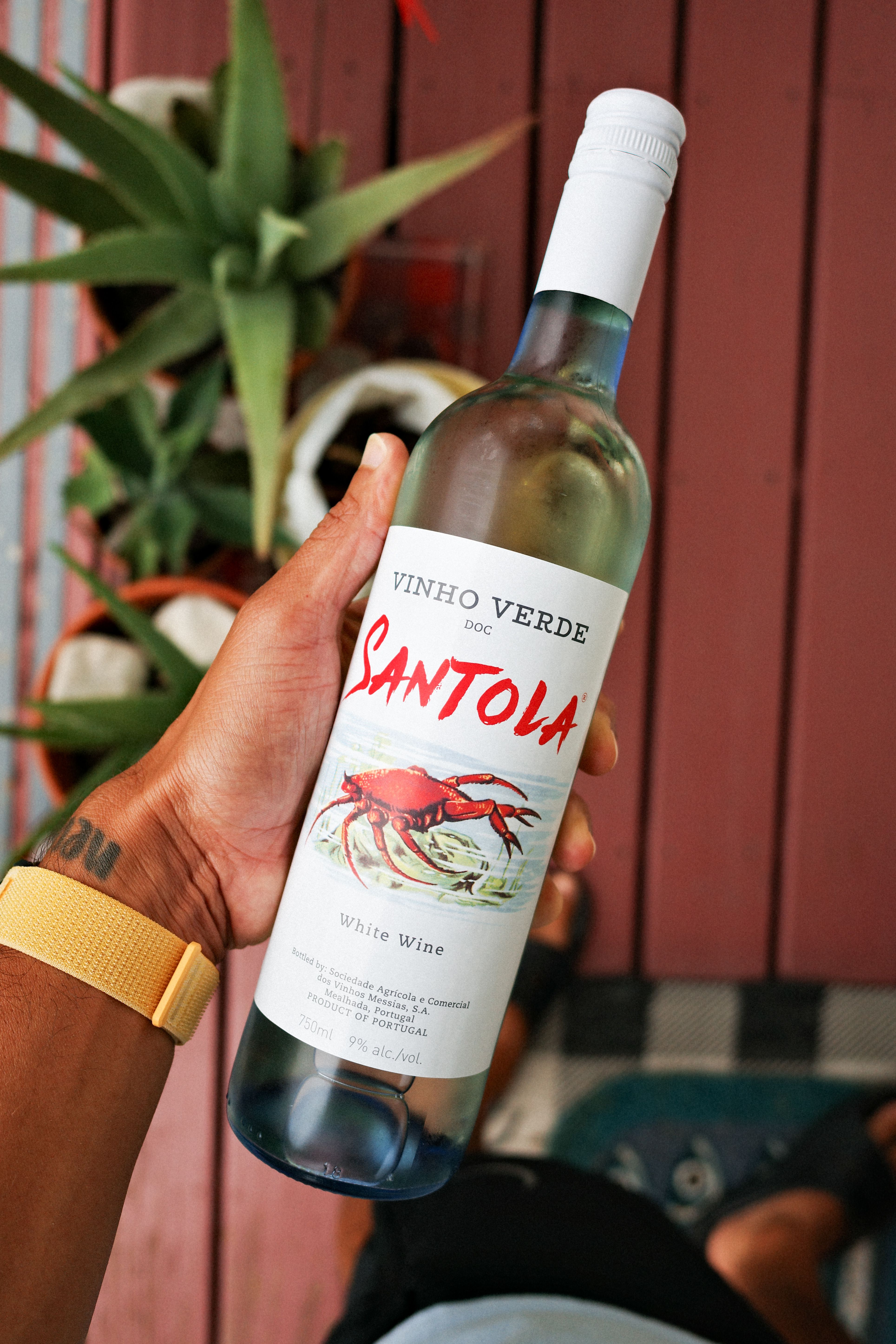 Le nouveau vin monocépage Viosinho de la Adega de Favaios