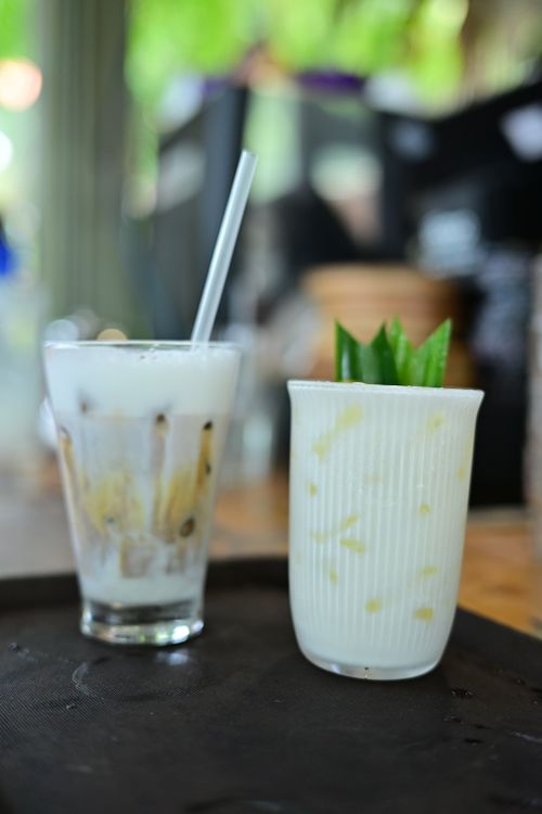 Free Two tropical coconut drinks served with leaves, perfect for summer refreshment. Stock Photo