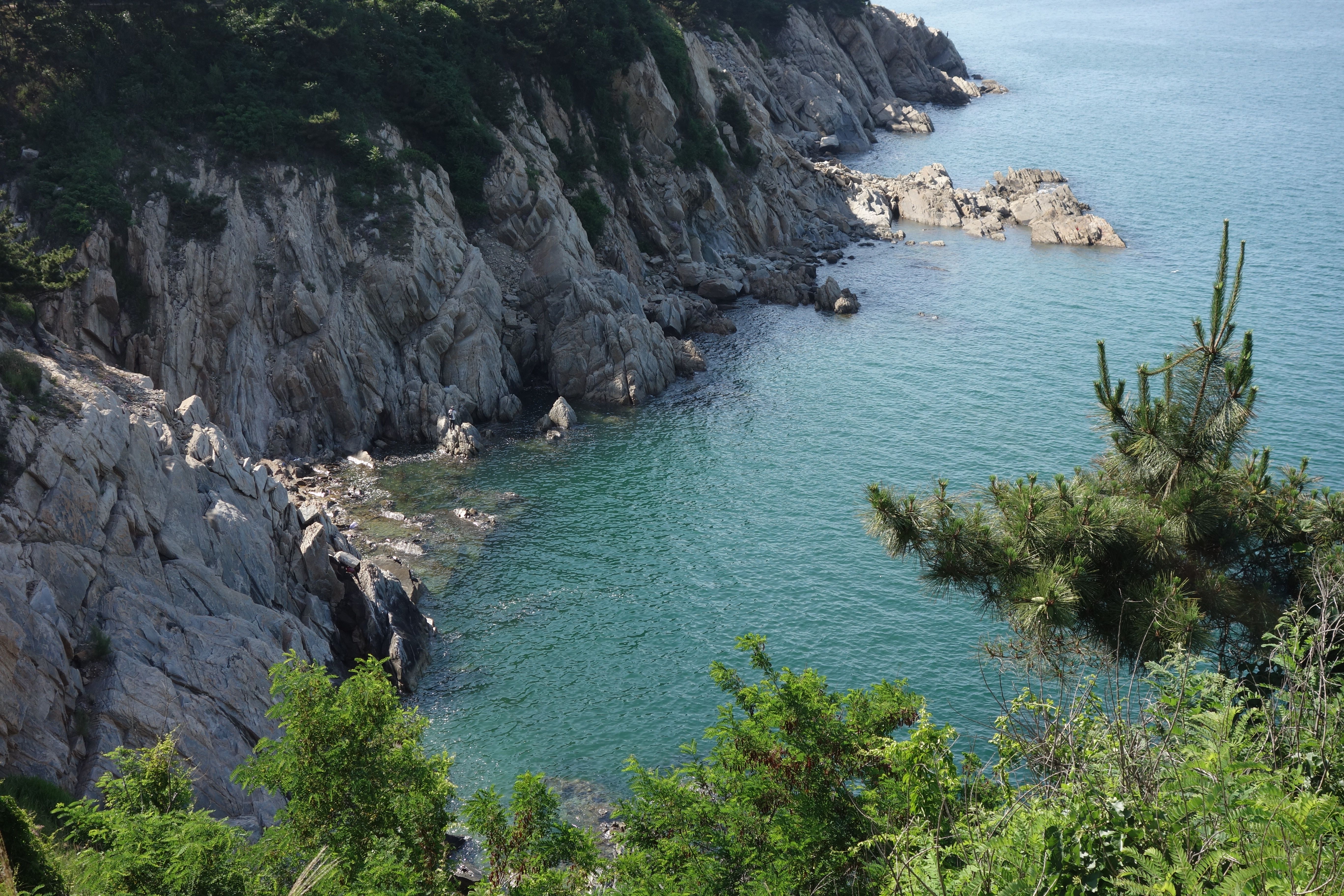 Vibrant coastal cliff overlooking turquoise waters, surrounded by lush greenery.