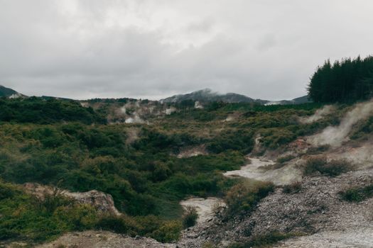 Hangi dinner + Māori concert — Rotorua