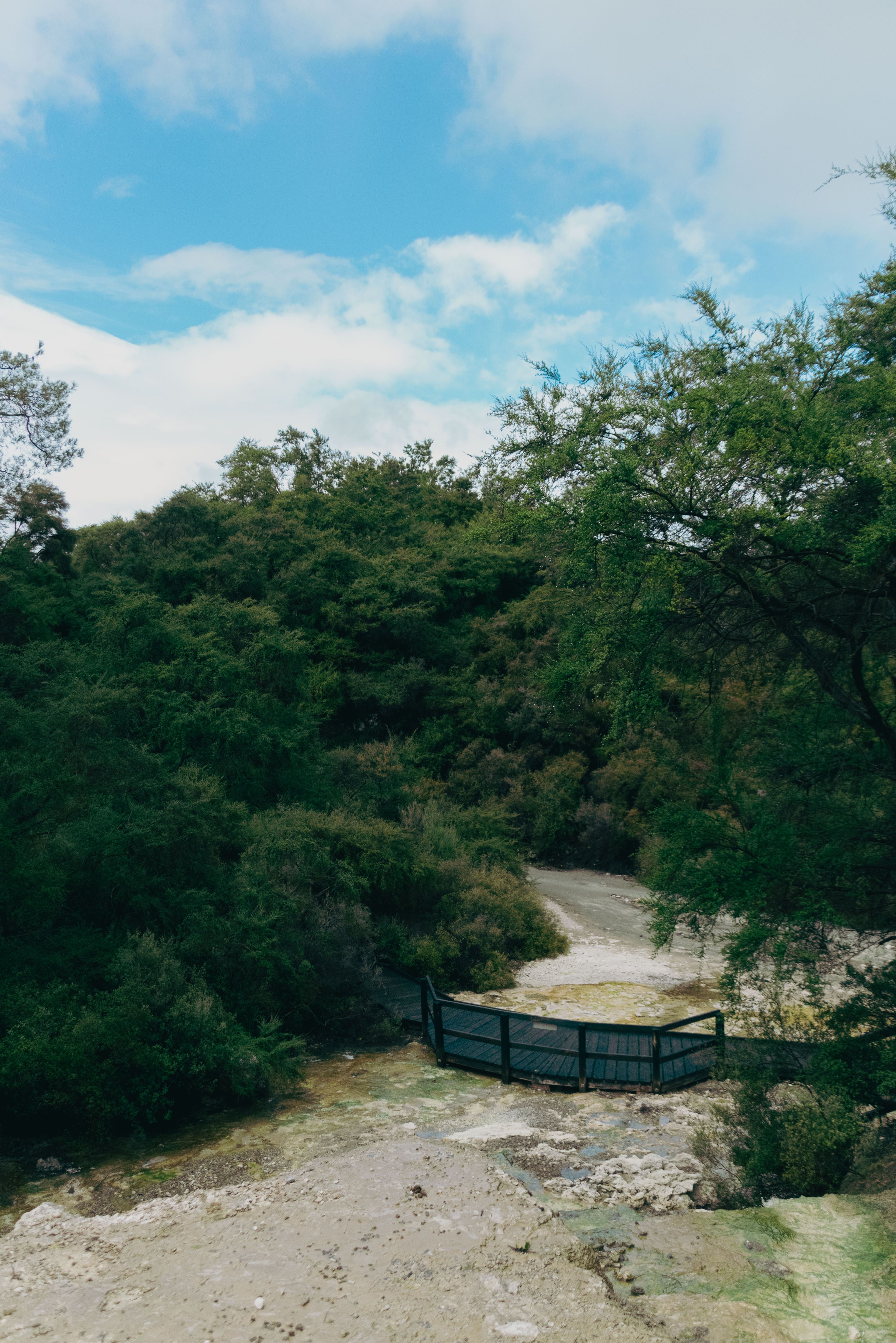 Idyllic bridge surrounded by vibrant greenery and hills in New Zealand, ideal for nature and travel enthusiasts.