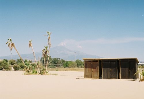 Free Desert landscape with sparse palm trees and wooden hut under clear blue sky. Stock Photo