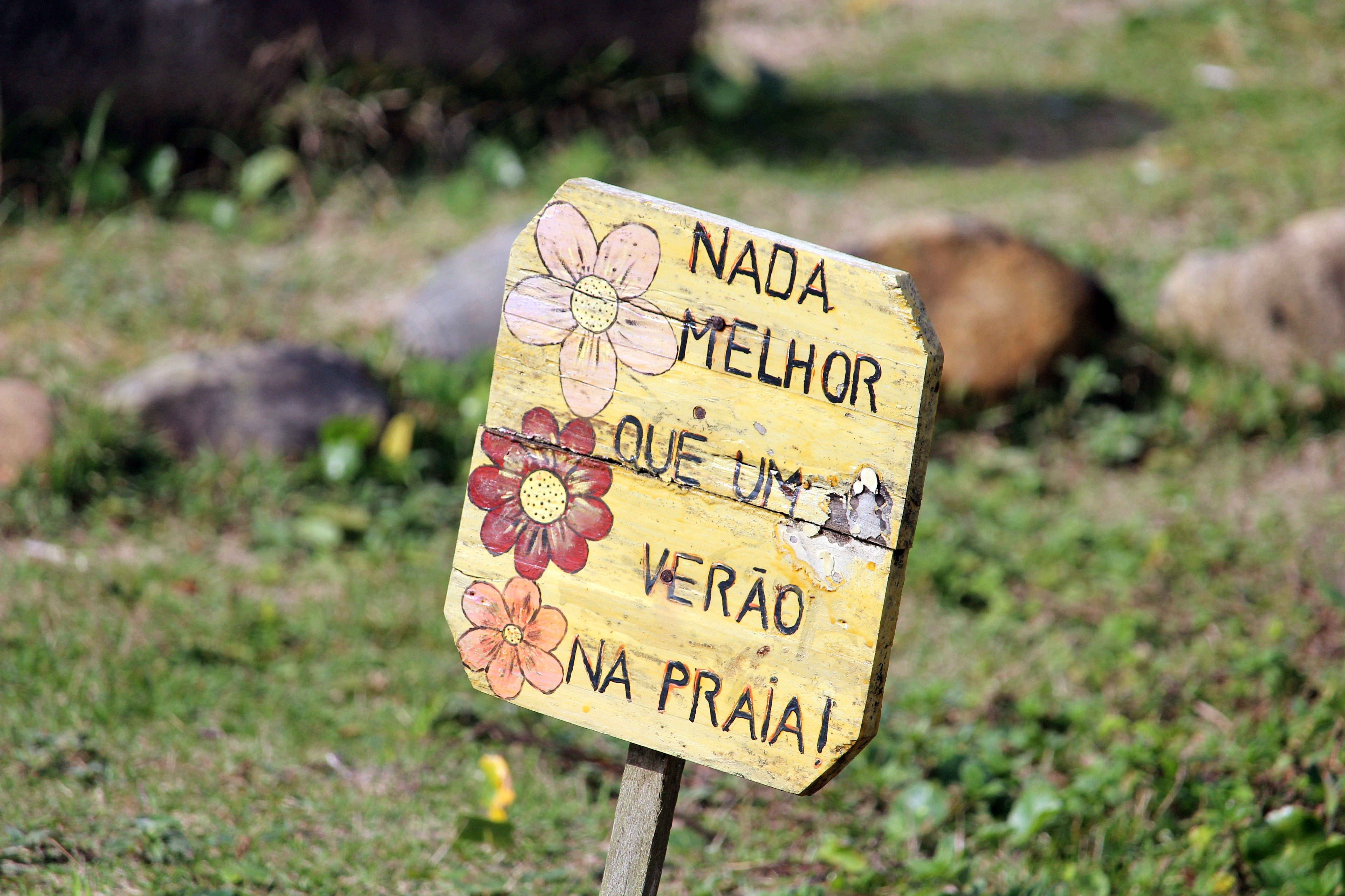 Foto: Landiva  Weber / Pexels