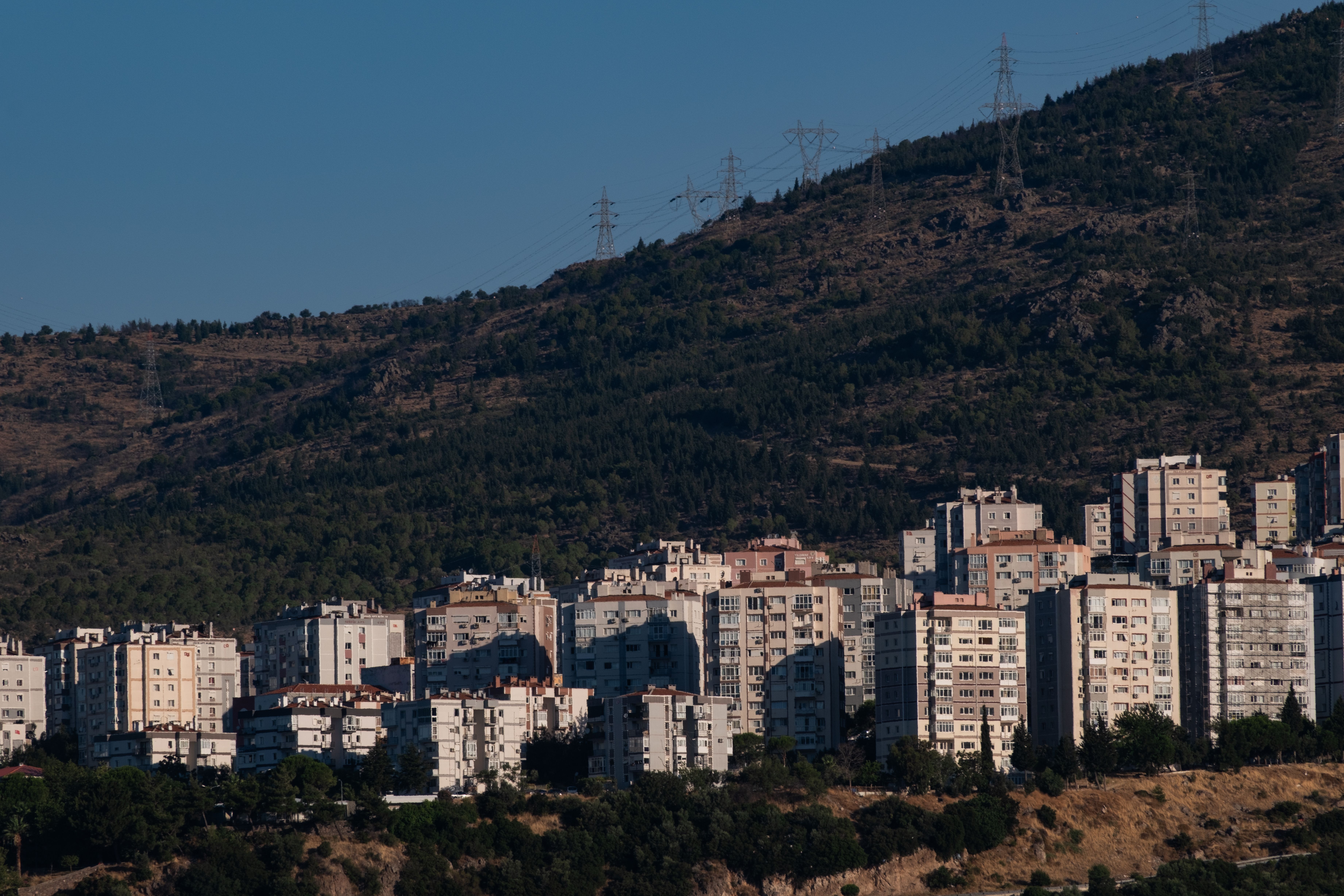 Dimuca