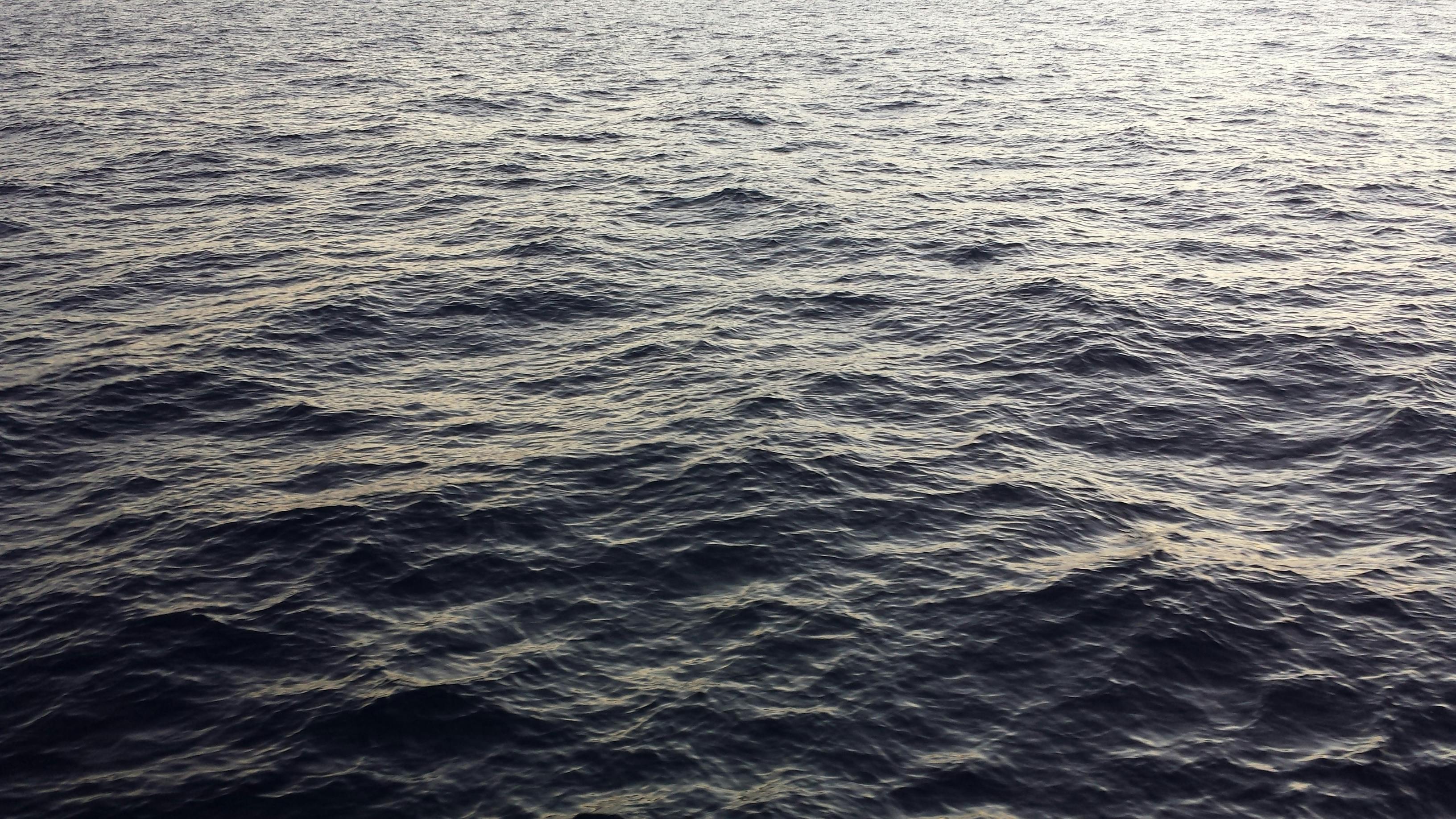 A More Troubling Picture of Sea Level Rise Is Coming into View — Photo by Joe Buchmann on Pexels