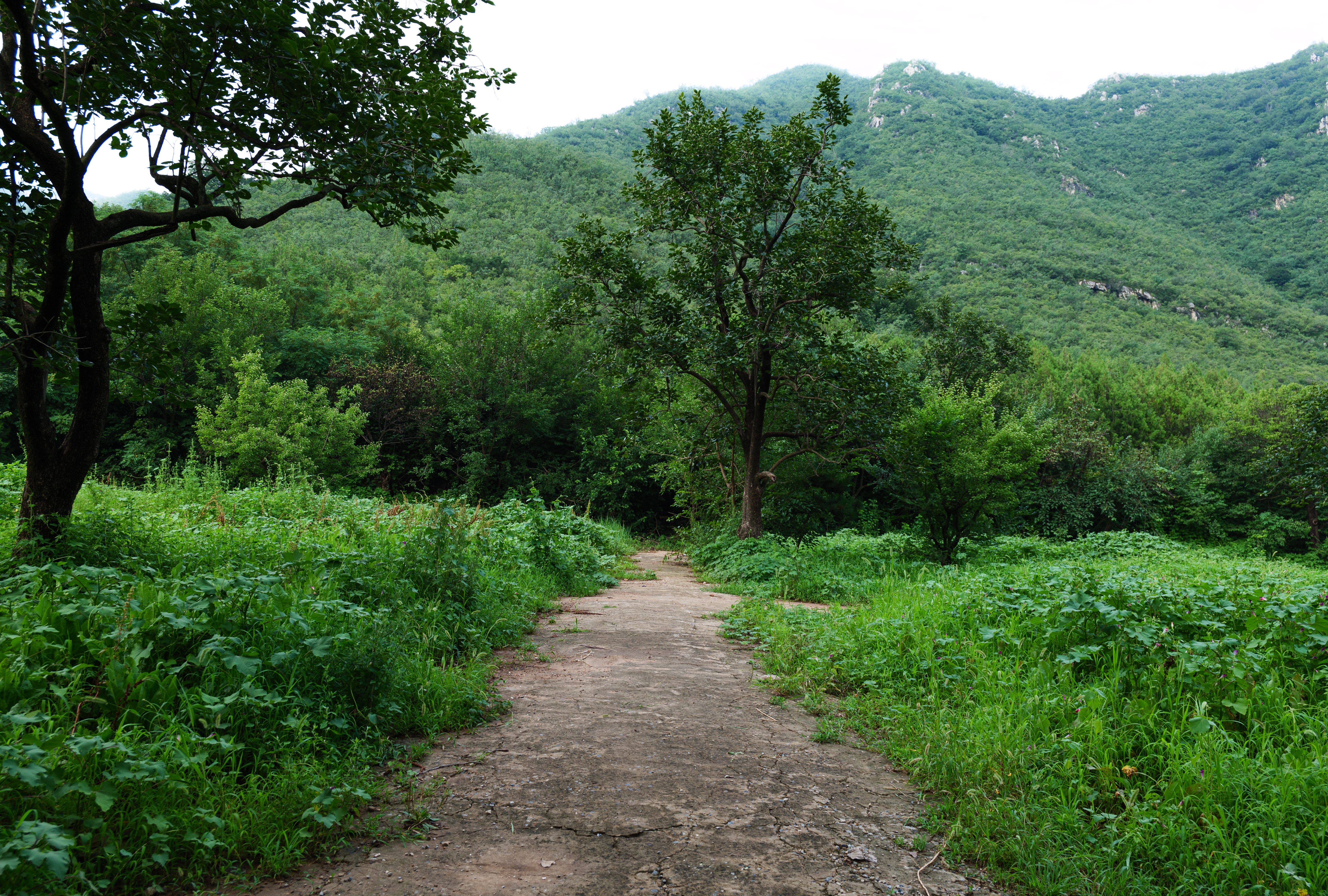 지리산 등산코스 지리산 등산, 이것만 알면 실패 없어요!