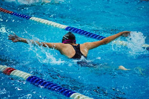 Free Woman athlete doing butterfly stroke in pool during competition, vibrant and dynamic image. Stock Photo