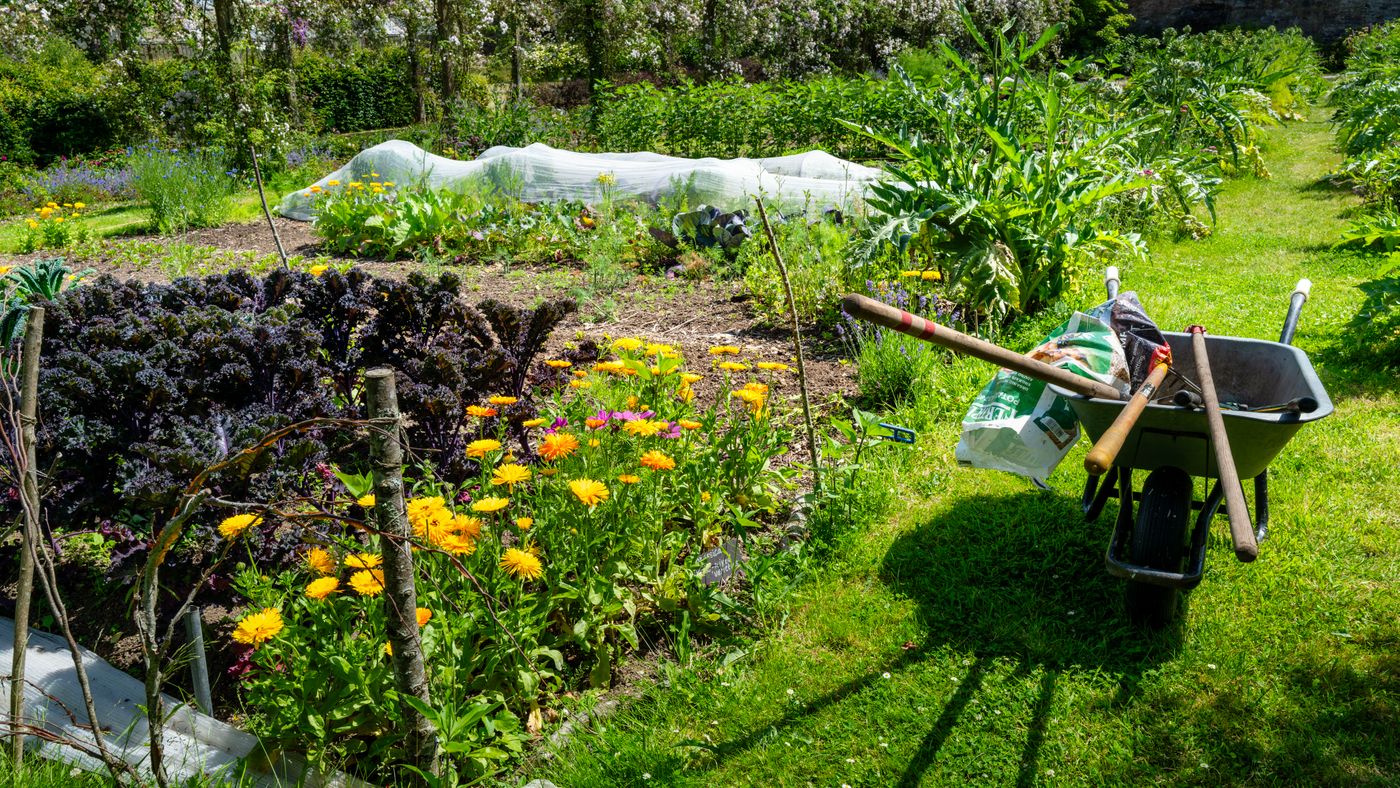 Kitchen garden with flowers, vegetables and a wheelbarrow