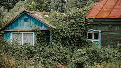 Free An abandoned rustic house covered in vines, showcasing nature's takeover in Lipetsk, Russia. Stock Photo