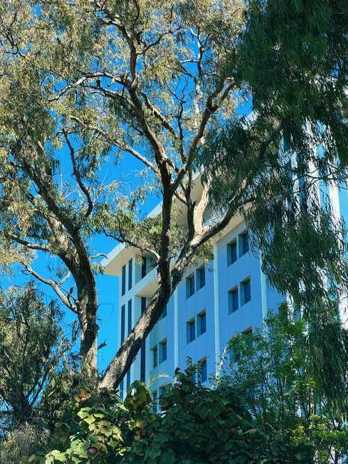 Free A sleek modern building surrounded by lush green trees under a clear blue sky in Antananarivo. Stock Photo