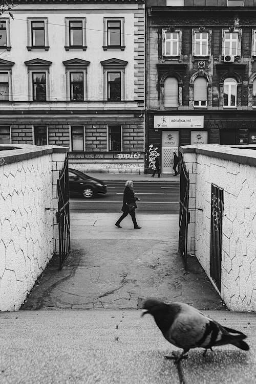 Grayscale Photo of a Person Walking on Sidewalk