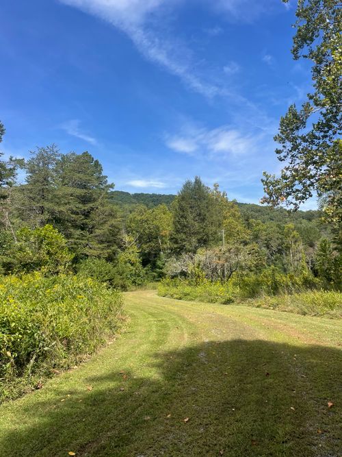 Free A serene forest pathway under a bright blue sky surrounded by lush green trees and hills. Stock Photo