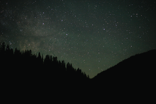 Free A breathtaking view of a starry night sky over a dark forest silhouette captures cosmic beauty. Stock Photo