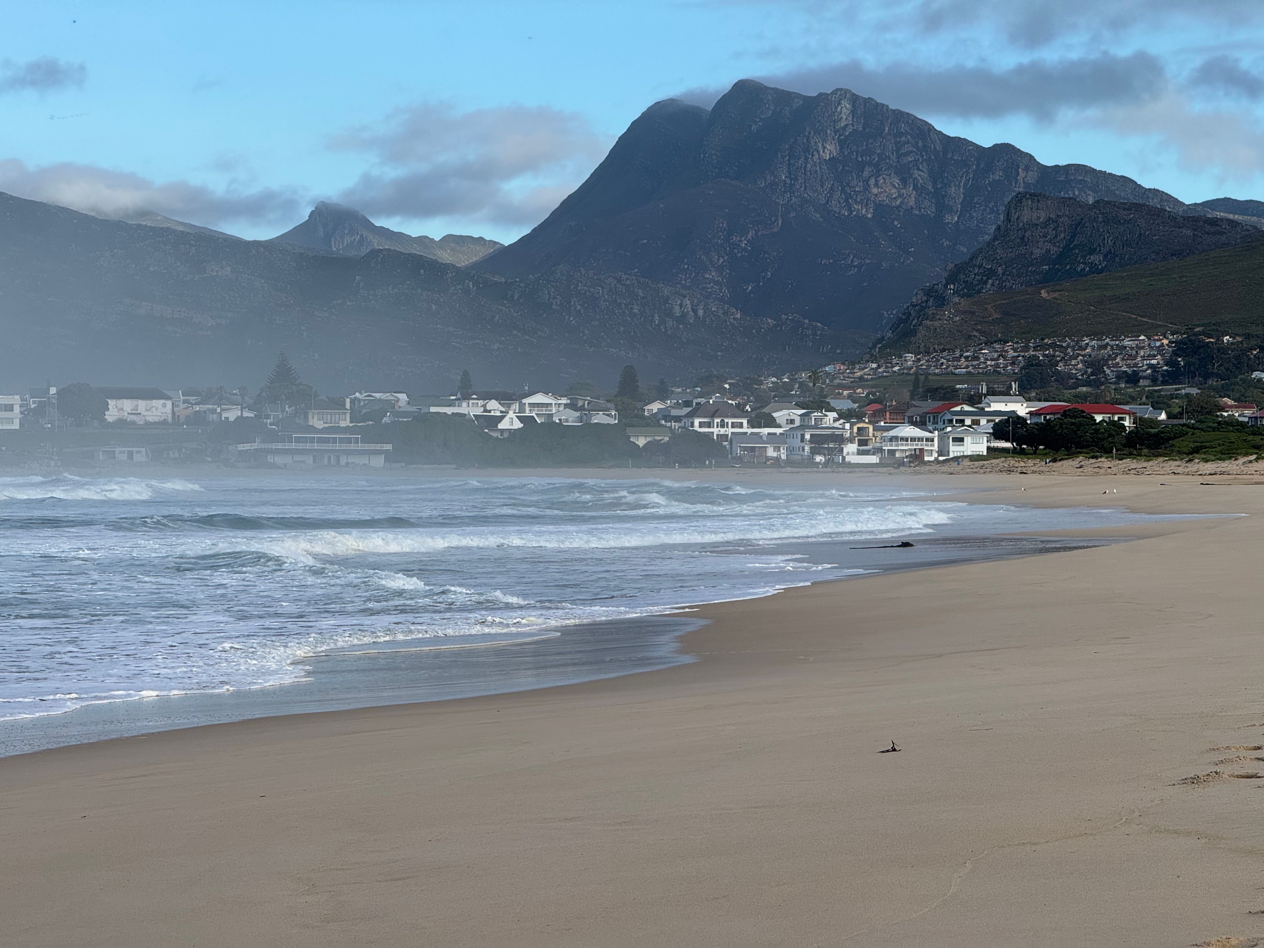 Baleine franche australe surgissant dans Walker Bay sous le sentier de falaise d’Hermanus