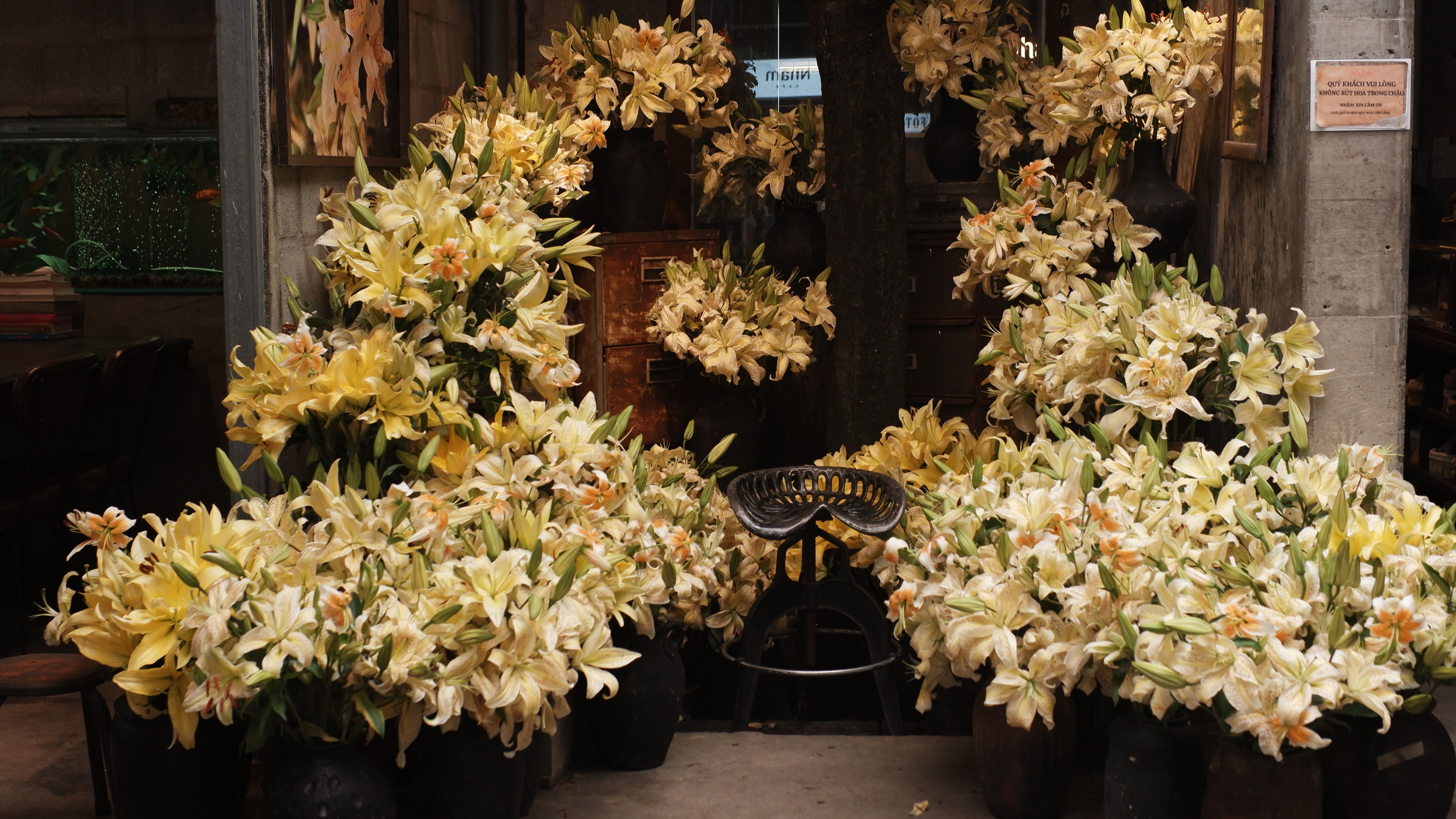 Dettagli di fiori freschi