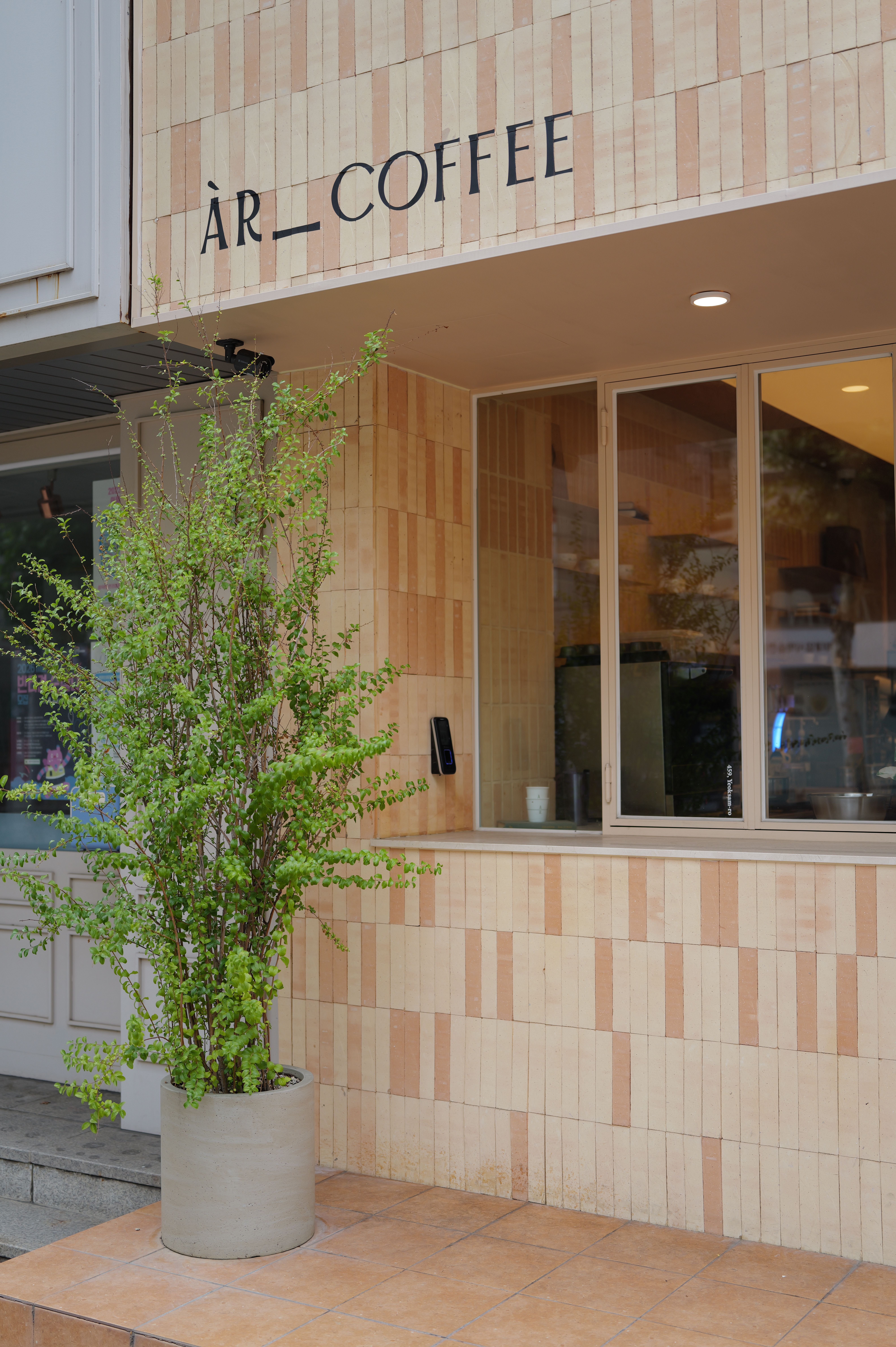 Exterior view of a modern cafe featuring a sleek potted plant, promoting an inviting atmosphere.