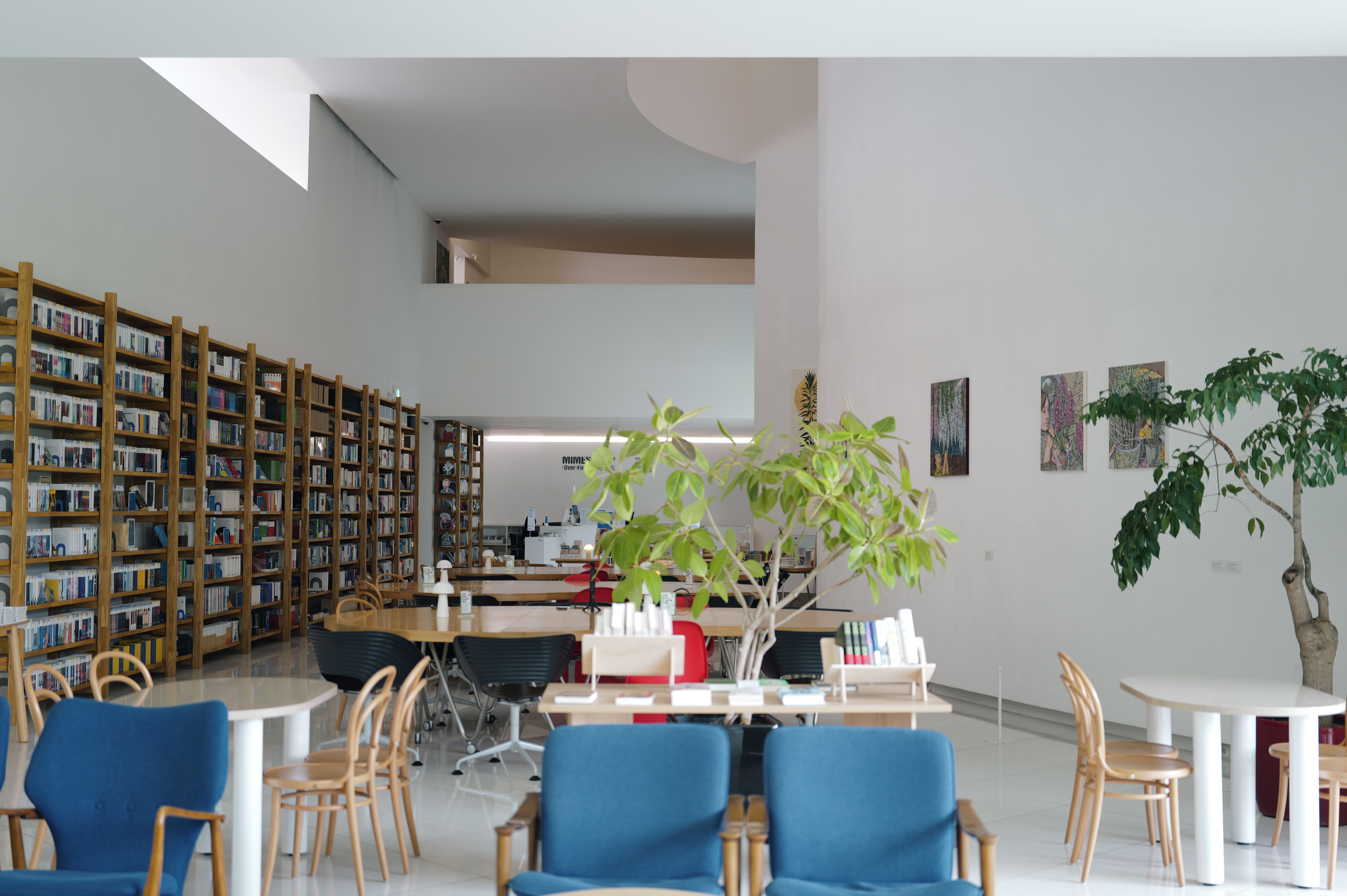 A sophisticated minimalist private library representing the architecture of global intellectual influence.