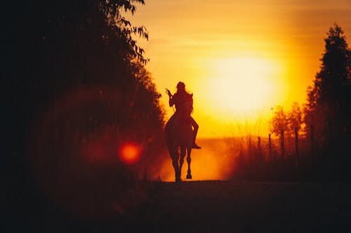 Horse riding in countryside during bright sunset