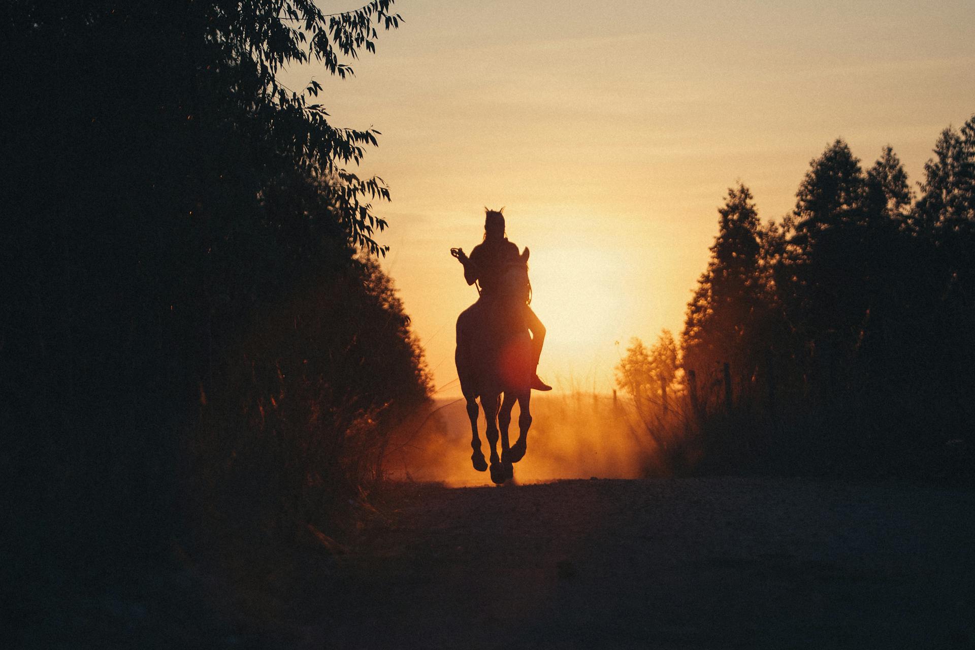 Silhouette of a horseback rider on a dusty rural path at sunset, capturing the essence of adventure.