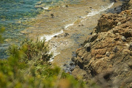 Free A breathtaking view of the rocky shoreline and clear blue waters in Muğla, Türkiye. Stock Photo