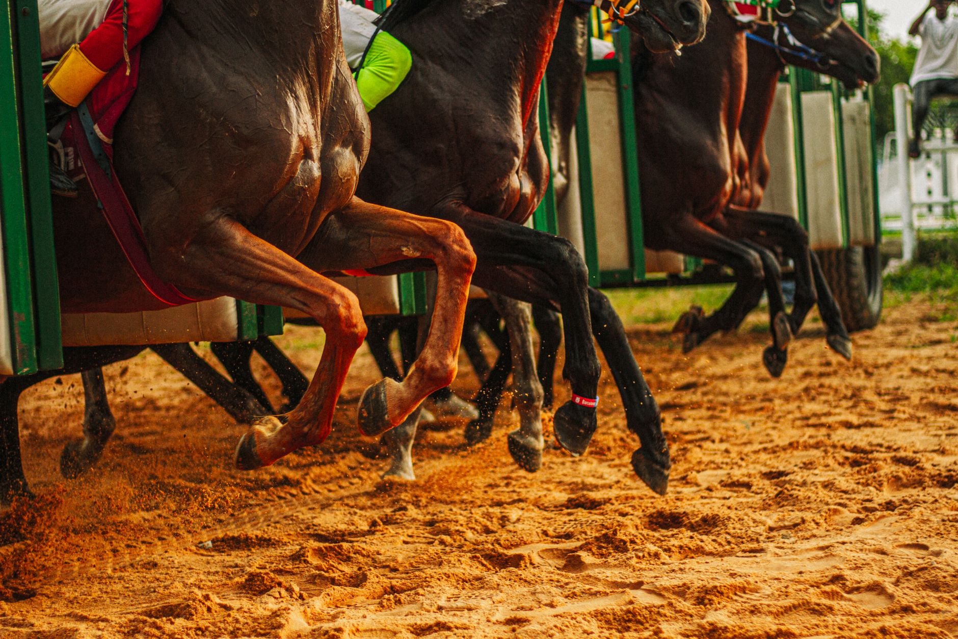 Action-packed image of horses launching from the gates at a race track in Kaduna, Nigeria.